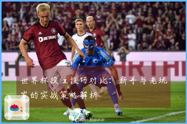 世界杯投注技巧对比：新手与老玩家的实战策略解析