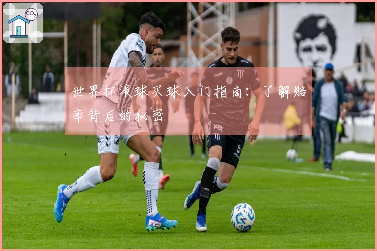 世界杯滚球买球入门指南：了解赔率背后的秘密